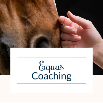 Equus Coaching Service