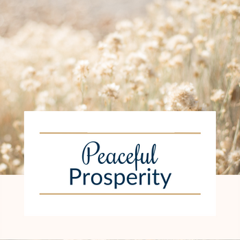 Peaceful Prosperity Service